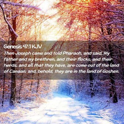 Picture 02 - Genesis 47:1 KJV - Then Joseph came and told Pharaoh, and said, My - Bible Verse Picture