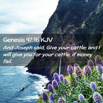 Picture 02 - Genesis 47:16 KJV - And Joseph said, Give your cattle; and I will - Bible Verse Picture