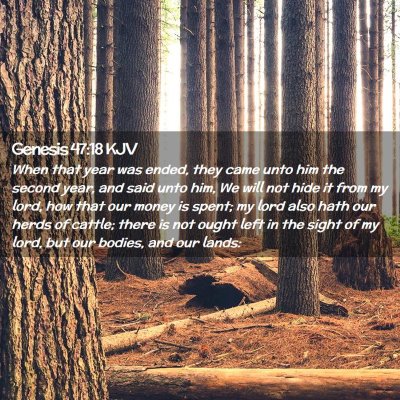 Picture 02 - Genesis 47:18 KJV - When that year was ended, they came unto him the - Bible Verse Picture