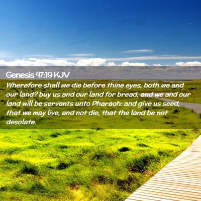 Picture 02 - Genesis 47:19 KJV - Wherefore shall we die before thine eyes, both we - Bible Verse Picture