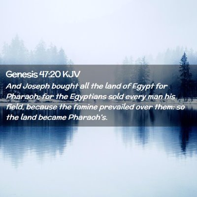 Picture 02 - Genesis 47:20 KJV - And Joseph bought all the land of Egypt for - Bible Verse Picture
