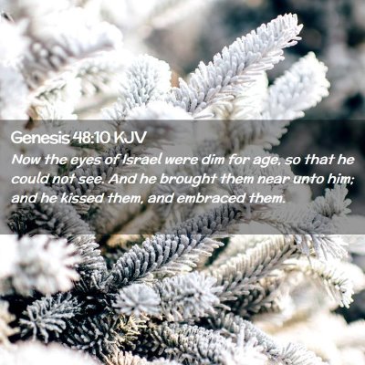 Picture 02 - Genesis 48:10 KJV - Now the eyes of Israel were dim for age, so that - Bible Verse Picture