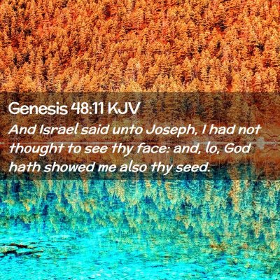 Picture 02 - Genesis 48:11 KJV - And Israel said unto Joseph, I had not thought to - Bible Verse Picture