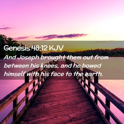Picture 02 - Genesis 48:12 KJV - And Joseph brought them out from between his - Bible Verse Picture