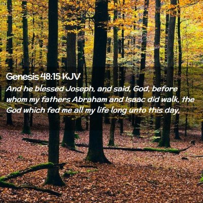 Picture 02 - Genesis 48:15 KJV - And he blessed Joseph, and said, God, before whom - Bible Verse Picture