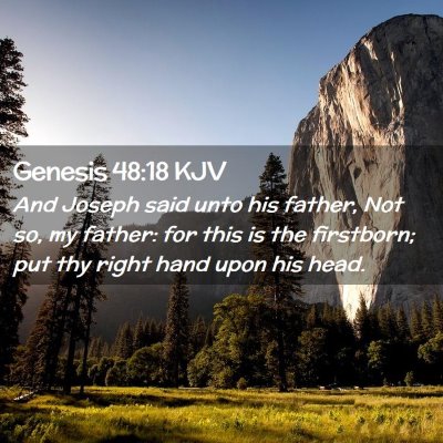 Picture 02 - Genesis 48:18 KJV - And Joseph said unto his father, Not so, my - Bible Verse Picture