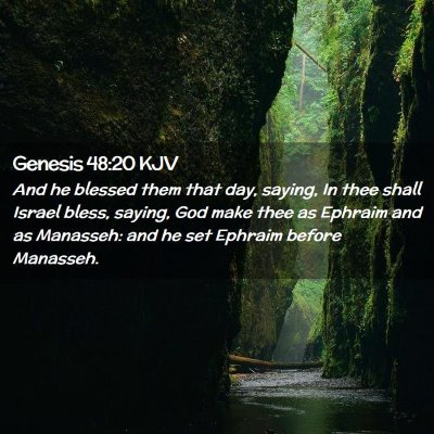 Picture 02 - Genesis 48:20 KJV - And he blessed them that day, saying, In thee - Bible Verse Picture