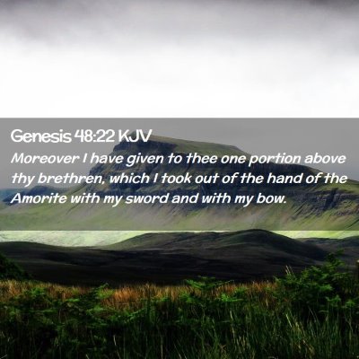 Picture 02 - Genesis 48:22 KJV - Moreover I have given to thee one portion above - Bible Verse Picture