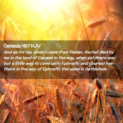 Picture 02 - Genesis 48:7 KJV - And as for me, when I came from Padan, Rachel - Bible Verse Picture