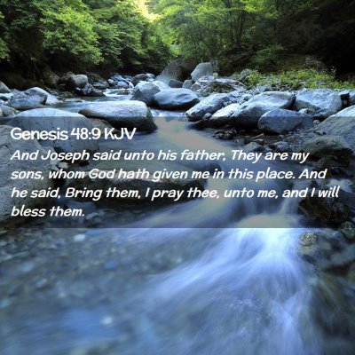 Picture 02 - Genesis 48:9 KJV - And Joseph said unto his father, They are my - Bible Verse Picture
