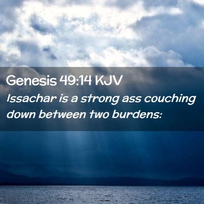 Picture 02 - Genesis 49:14 KJV - Issachar is a strong ass couching down between - Bible Verse Picture