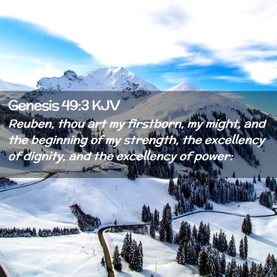 Picture 02 - Genesis 49:3 KJV - Reuben, thou art my firstborn, my might, and the - Bible Verse Picture