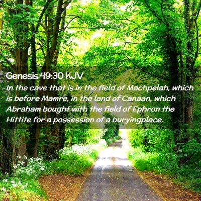 Picture 02 - Genesis 49:30 KJV - In the cave that is in the field of Machpelah, - Bible Verse Picture