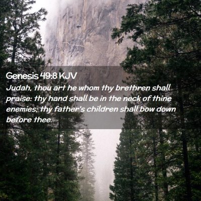 Picture 02 - Genesis 49:8 KJV - Judah, thou art he whom thy brethren shall - Bible Verse Picture