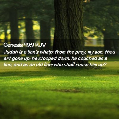 Picture 02 - Genesis 49:9 KJV - Judah is a lion's whelp: from the prey, my son, - Bible Verse Picture