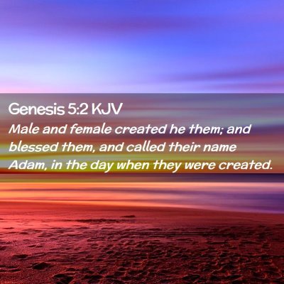 Picture 02 - Genesis 5:2 KJV - Male and female created he them; and blessed - Bible Verse Picture