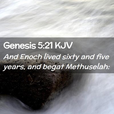 Picture 02 - Genesis 5:21 KJV - And Enoch lived sixty and five years, and begat - Bible Verse Picture