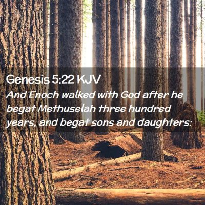 Picture 02 - Genesis 5:22 KJV - And Enoch walked with God after he begat - Bible Verse Picture