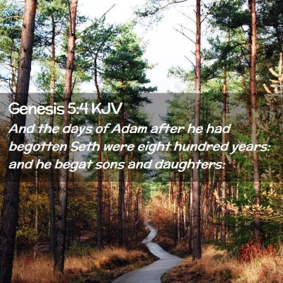 Picture 02 - Genesis 5:4 KJV - And the days of Adam after he had begotten Seth - Bible Verse Picture