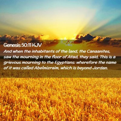 Picture 02 - Genesis 50:11 KJV - And when the inhabitants of the land, the - Bible Verse Picture