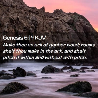 Picture 02 - Genesis 6:14 KJV - Make thee an ark of gopher wood; rooms shalt thou - Bible Verse Picture