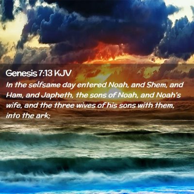 Picture 02 - Genesis 7:13 KJV - In the selfsame day entered Noah, and Shem, and - Bible Verse Picture