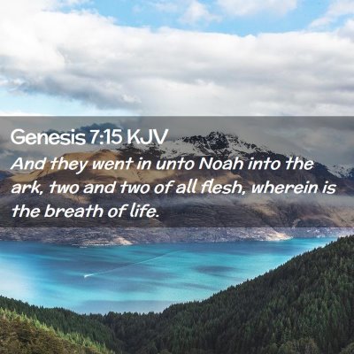 Picture 02 - Genesis 7:15 KJV - And they went in unto Noah into the ark, two and - Bible Verse Picture