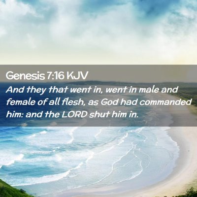 Picture 02 - Genesis 7:16 KJV - And they that went in, went in male and female of - Bible Verse Picture