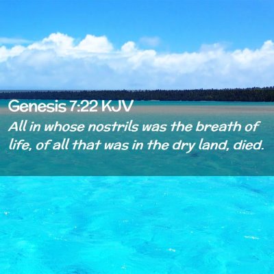 Picture 02 - Genesis 7:22 KJV - All in whose nostrils was the breath of life, of - Bible Verse Picture