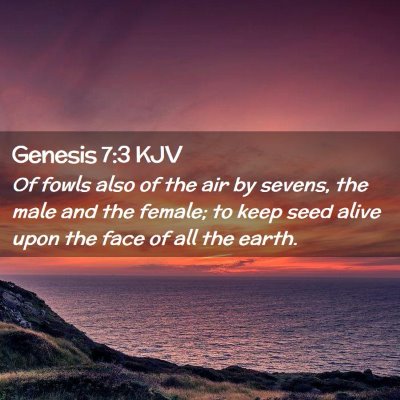Picture 02 - Genesis 7:3 KJV - Of fowls also of the air by sevens, the male and - Bible Verse Picture