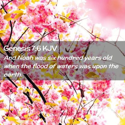 Picture 02 - Genesis 7:6 KJV - And Noah was six hundred years old when the flood - Bible Verse Picture