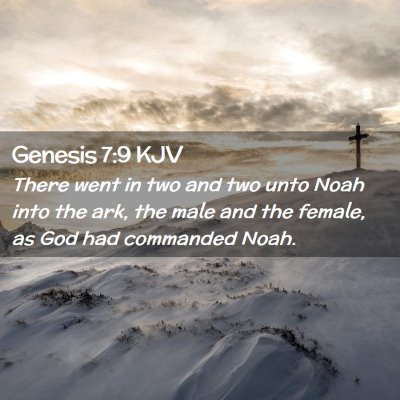 Picture 02 - Genesis 7:9 KJV - There went in two and two unto Noah into the ark, - Bible Verse Picture