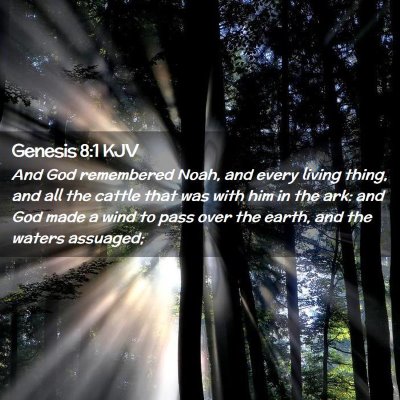Picture 02 - Genesis 8:1 KJV - And God remembered Noah, and every living thing, - Bible Verse Picture