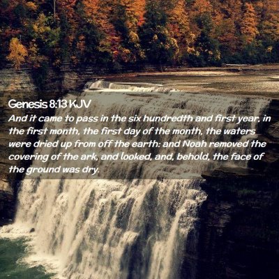 Picture 02 - Genesis 8:13 KJV - And it came to pass in the six hundredth and - Bible Verse Picture