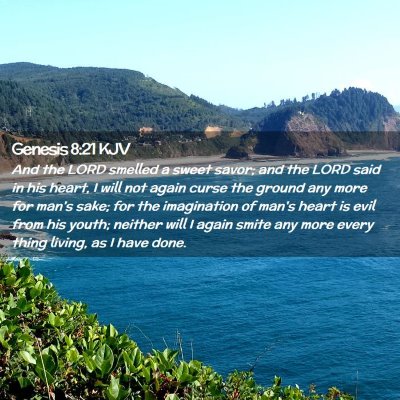 Picture 02 - Genesis 8:21 KJV - And the LORD smelled a sweet savor; and the LORD - Bible Verse Picture