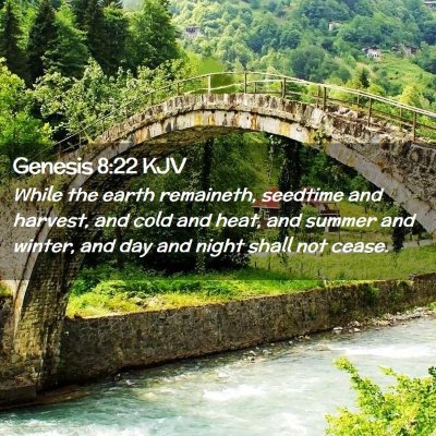 Picture 02 - Genesis 8:22 KJV - While the earth remaineth, seedtime and harvest, - Bible Verse Picture