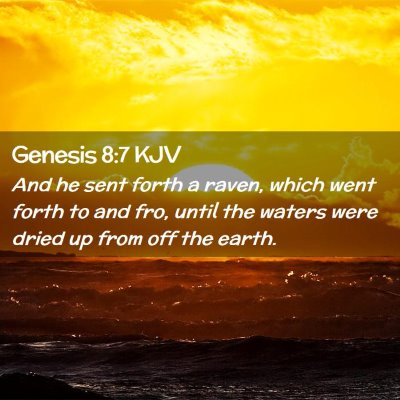 Picture 02 - Genesis 8:7 KJV - And he sent forth a raven, which went forth to - Bible Verse Picture