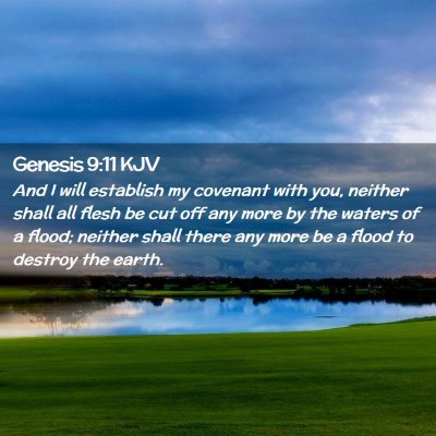 Picture 02 - Genesis 9:11 KJV - And I will establish my covenant with you, - Bible Verse Picture