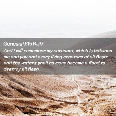 Picture 02 - Genesis 9:15 KJV - And I will remember my covenant, which is between - Bible Verse Picture