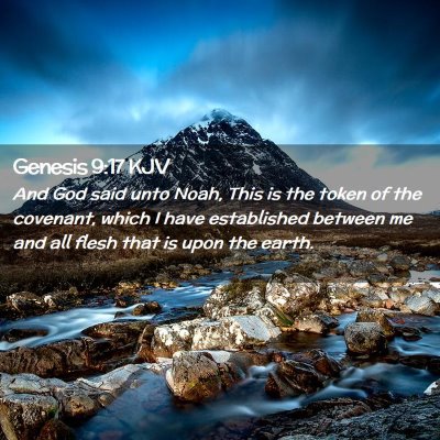 Picture 02 - Genesis 9:17 KJV - And God said unto Noah, This is the token of the - Bible Verse Picture