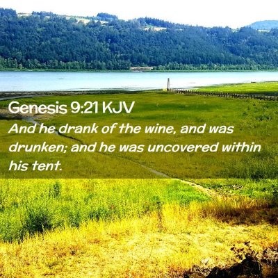 Picture 02 - Genesis 9:21 KJV - And he drank of the wine, and was drunken; and he - Bible Verse Picture