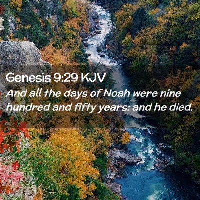 Picture 02 - Genesis 9:29 KJV - And all the days of Noah were nine hundred and - Bible Verse Picture