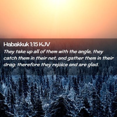 Picture 02 - Habakkuk 1:15 KJV - They take up all of them with the angle, they - Bible Verse Picture