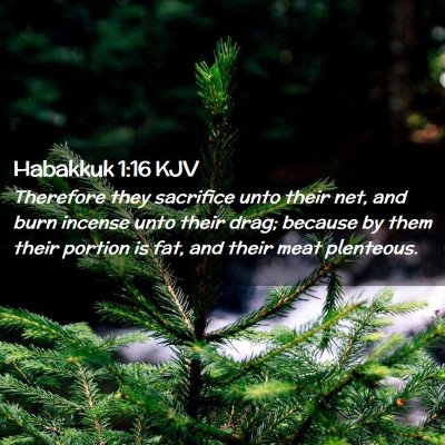 Picture 02 - Habakkuk 1:16 KJV - Therefore they sacrifice unto their net, and burn - Bible Verse Picture