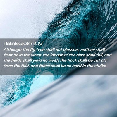 Picture 02 - Habakkuk 3:17 KJV - Although the fig tree shall not blossom, neither - Bible Verse Picture
