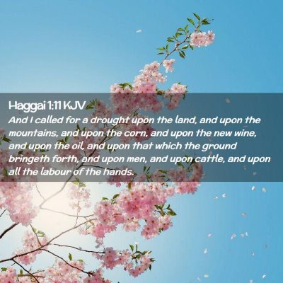 Picture 02 - Haggai 1:11 KJV - And I called for a drought upon the land, and - Bible Verse Picture