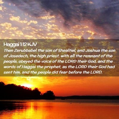 Picture 02 - Haggai 1:12 KJV - Then Zerubbabel the son of Shealtiel, and Joshua - Bible Verse Picture