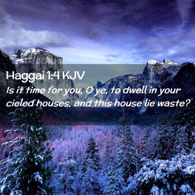 Picture 02 - Haggai 1:4 KJV - Is it time for you, O ye, to dwell in your cieled - Bible Verse Picture