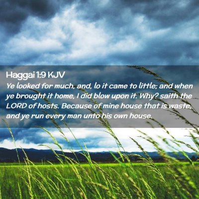 Picture 02 - Haggai 1:9 KJV - Ye looked for much, and, lo it came to little; - Bible Verse Picture