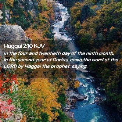 Picture 02 - Haggai 2:10 KJV - In the four and twentieth day of the ninth month, - Bible Verse Picture